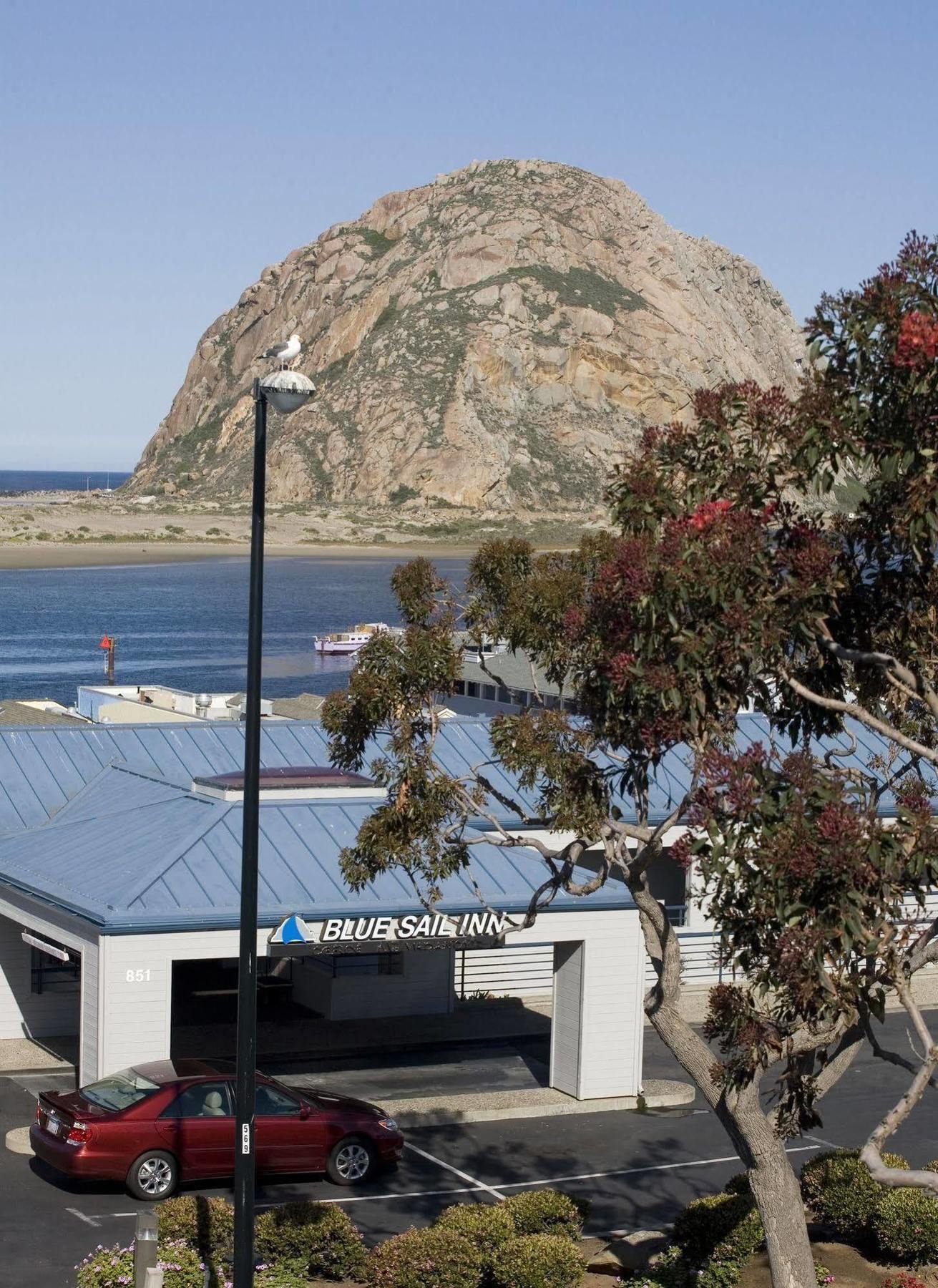 Blue Sail Inn Morro Bay Eksteriør billede